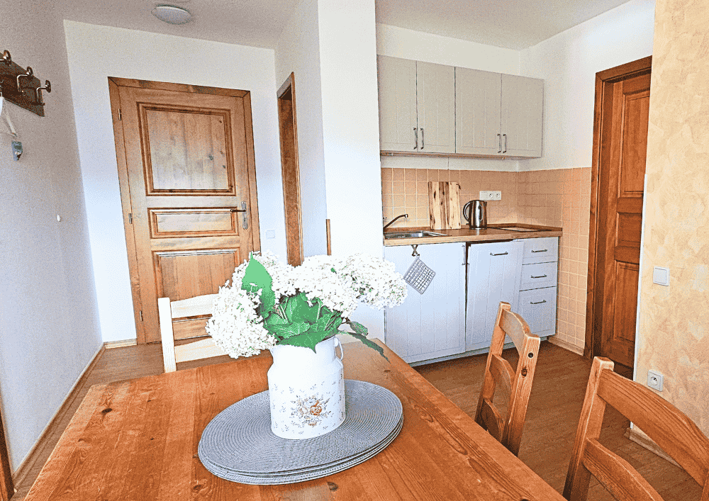 Rodinný apartmán kuchyně